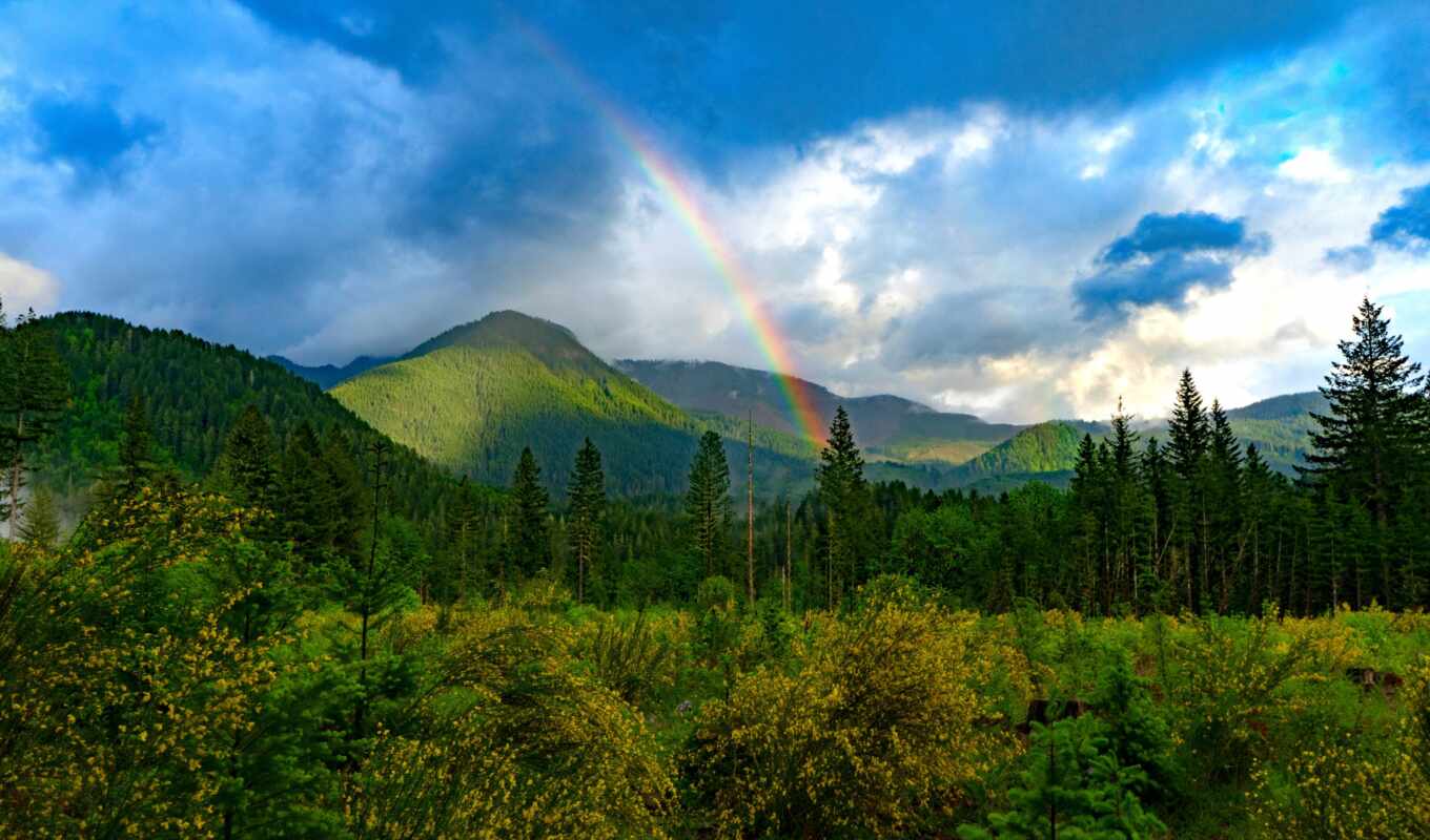 nature, sky, rainbow, live, india, team, microsoft, travel, climate, empty