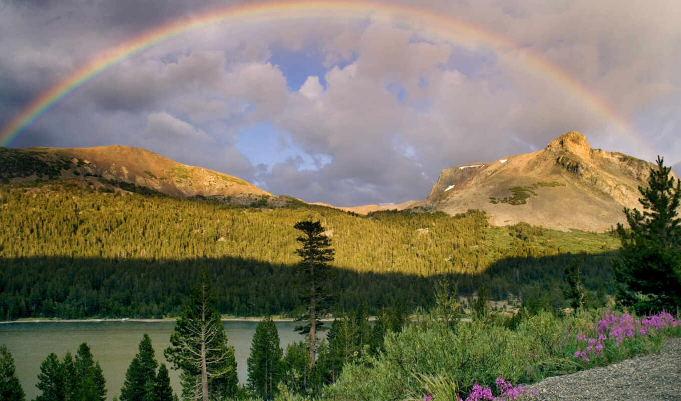 nature, with, rainbow, after, trees, rain, cloud, favourite, mountains