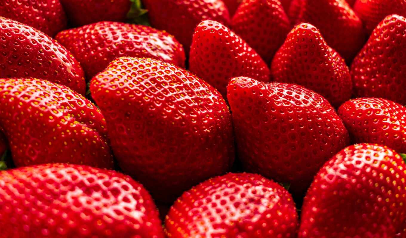 plan, strawberry, wall, berry, and, harvest, meyve, background, bagamer, zmrzlina
