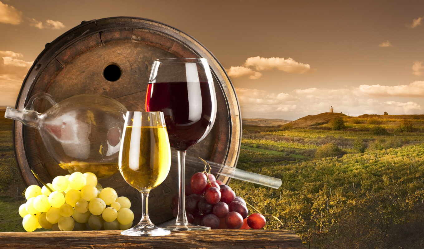 вино, красное, белое, виноград, бочки, вина, vineyard, oblaka, бокалы