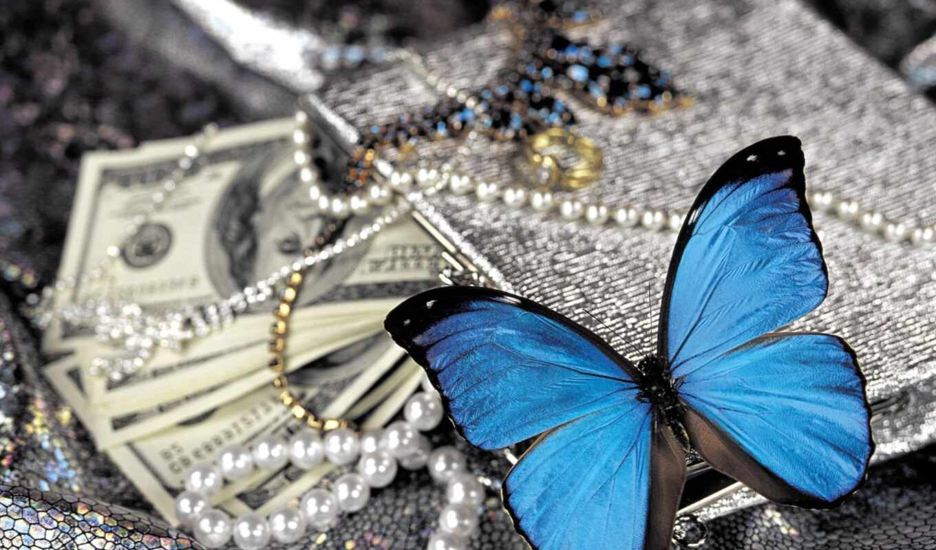 cool, butterfly, money, pearl