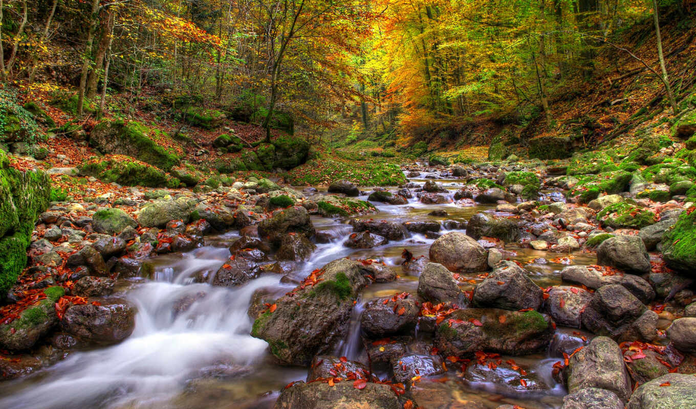 природа, desktop, free, изображение, скалы, rivers, ручей, forests
