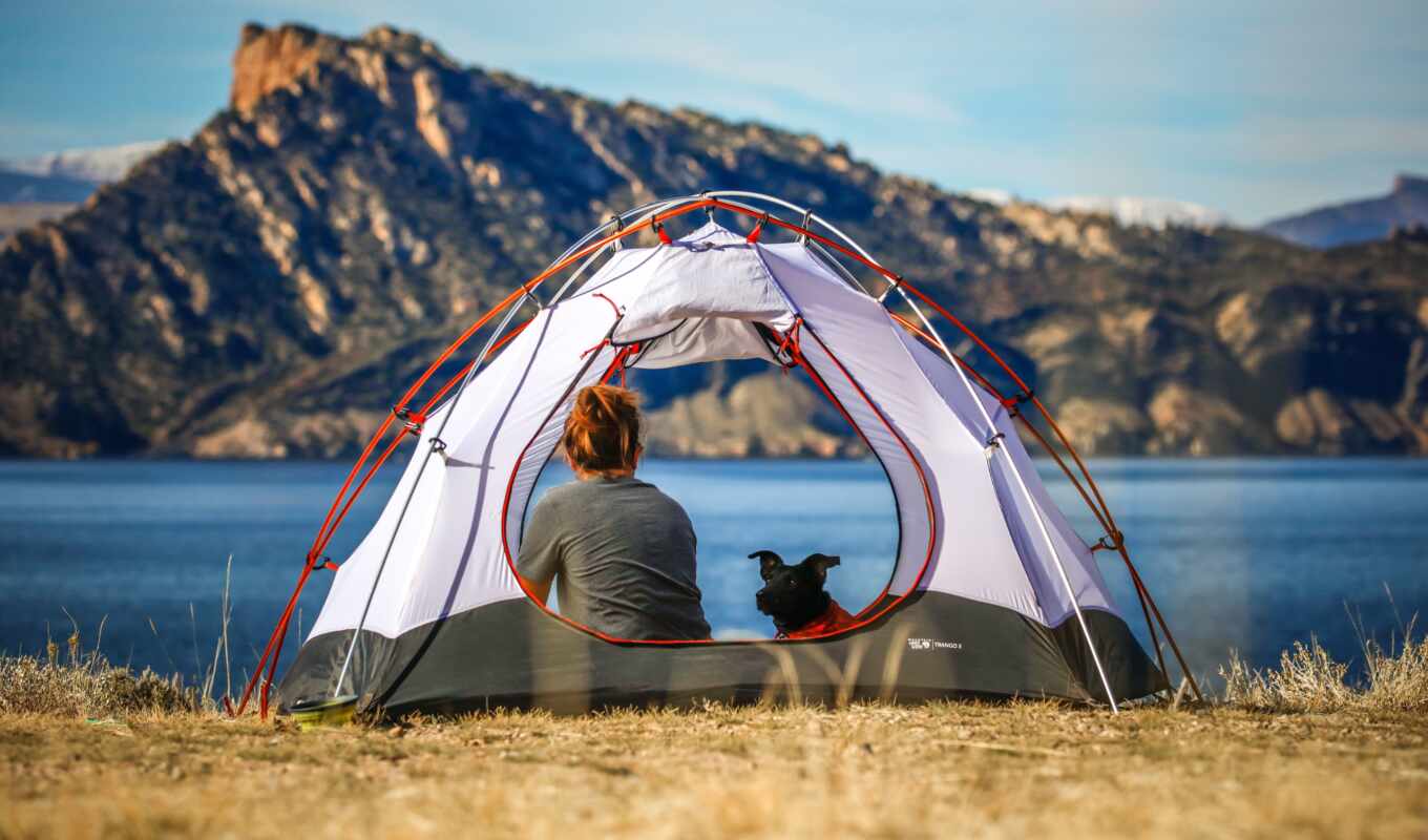 собака, палатки, adventure, how, camp, патруль, научиться