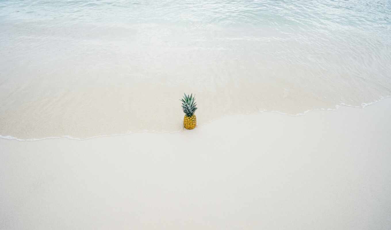 photo, beach, sea, sand, ocean, fetus, pineapple
