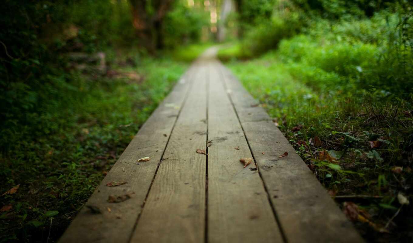 природа, лес, дорога, путь, park, wooden, тропинка, перспектива