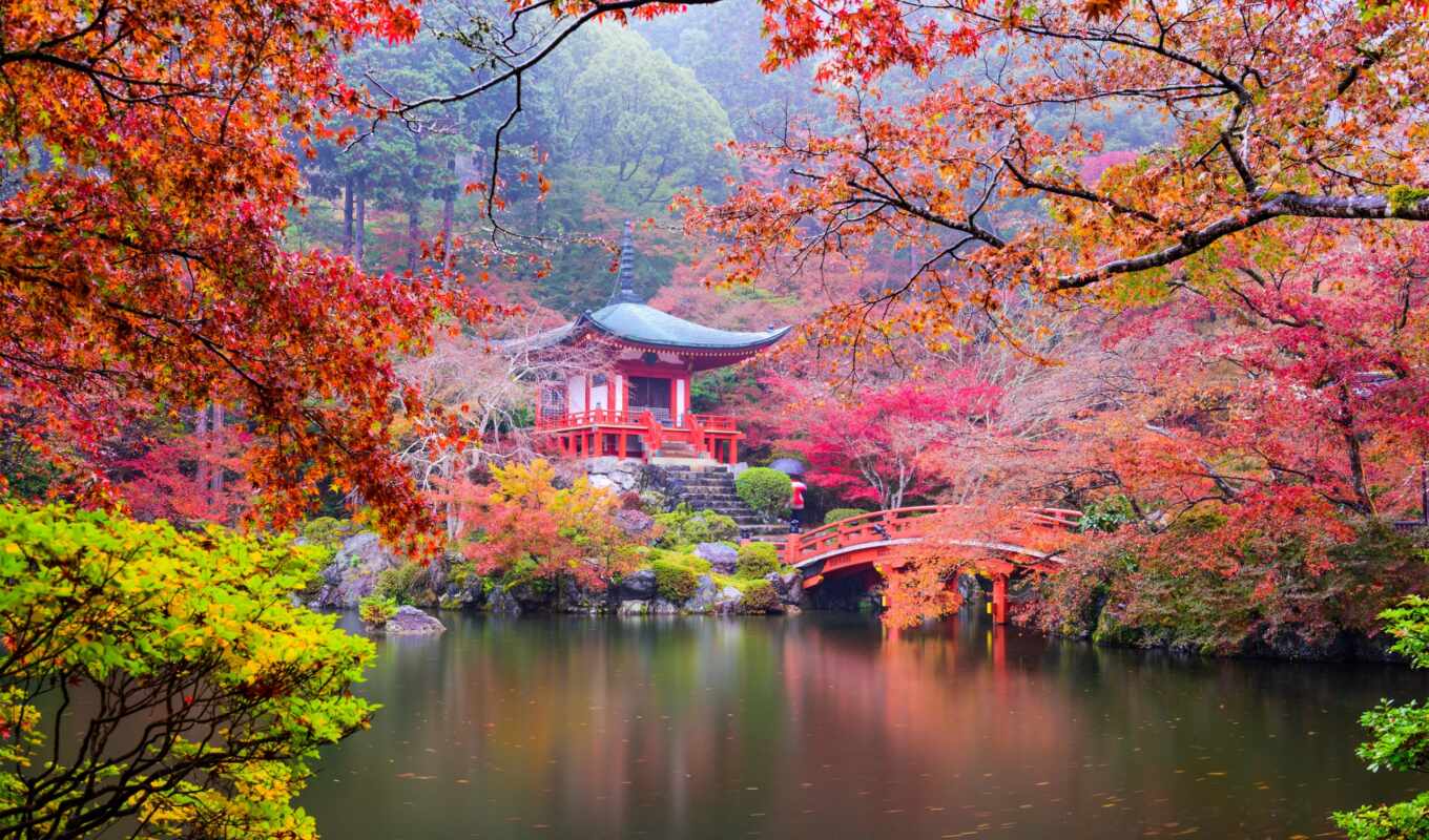 Bridge, temple, japanese, add, watch, autumn, Saint, youtube, kyoto