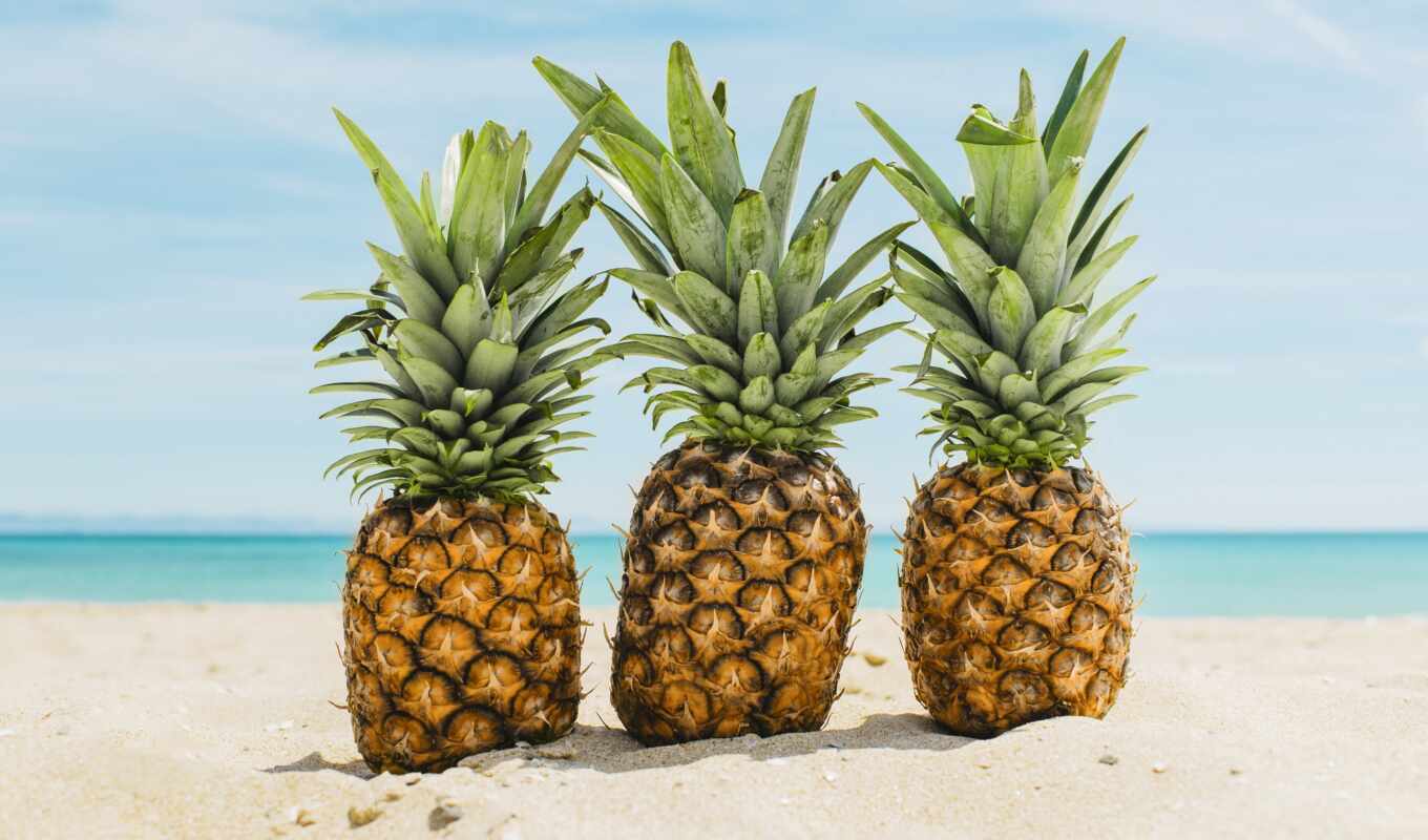 summer, beach, hair, sea, sand, tropical, seascape, towel, pineapple