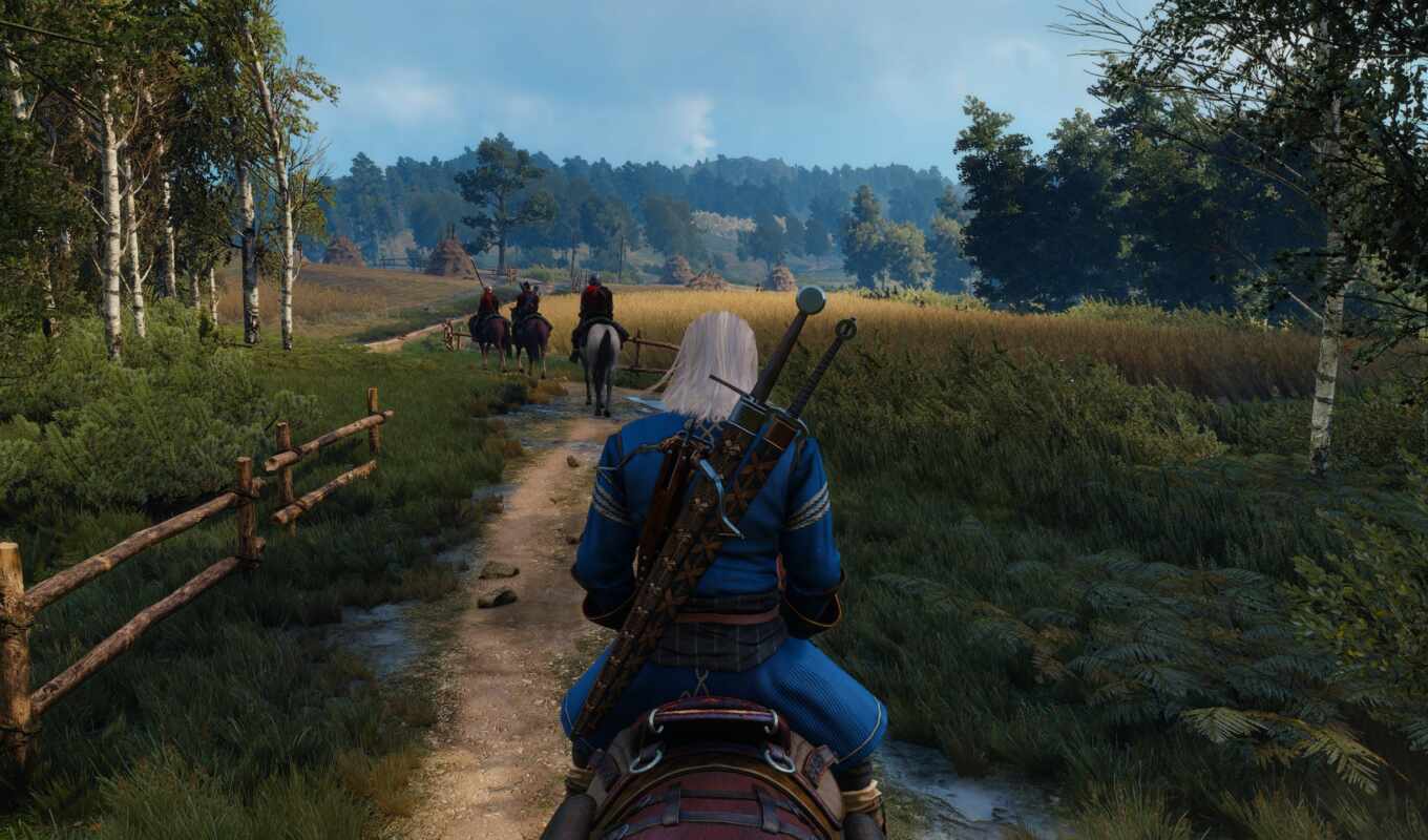 wild, witch, hunting, hunt, the witcher