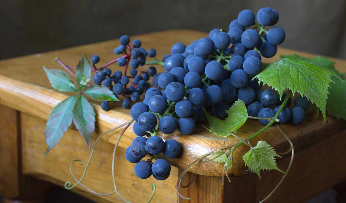 blue, table, grape