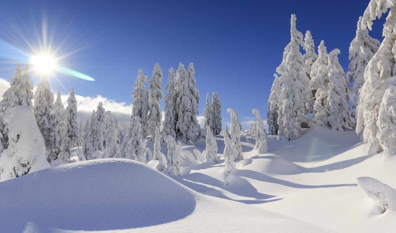 есть, mobile, дерево, снег, winter, see, канада, устройство