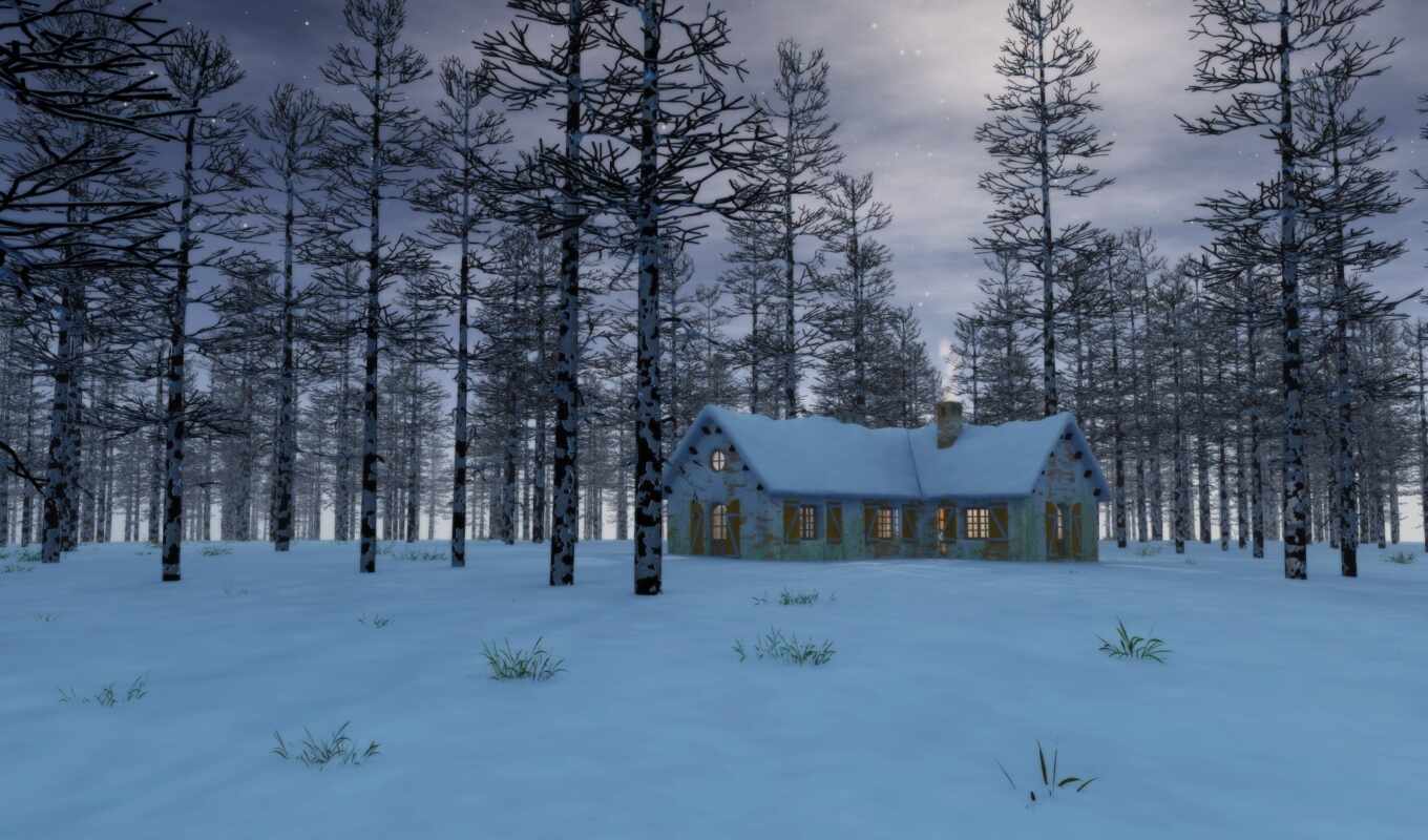 free, winter, forest, snowy, cabin, forests