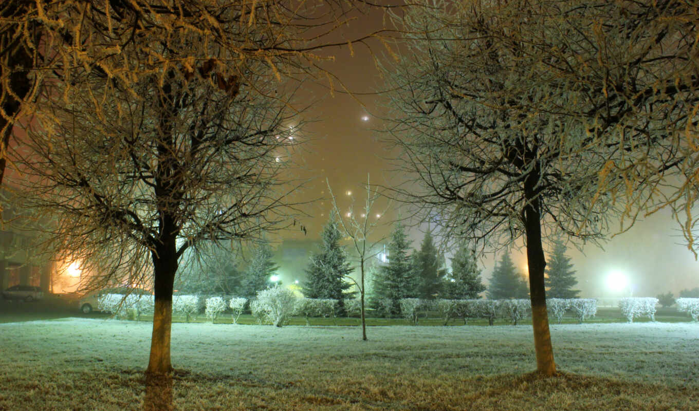 snow, winter, Russia, season, Landscape, mocah