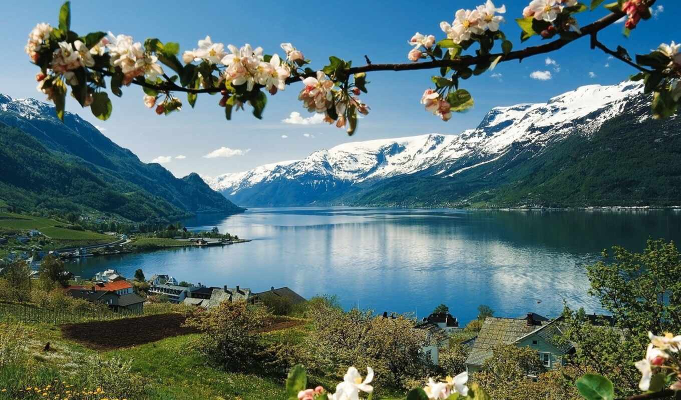 озеро, природа, цветы, гора, красавица, весна