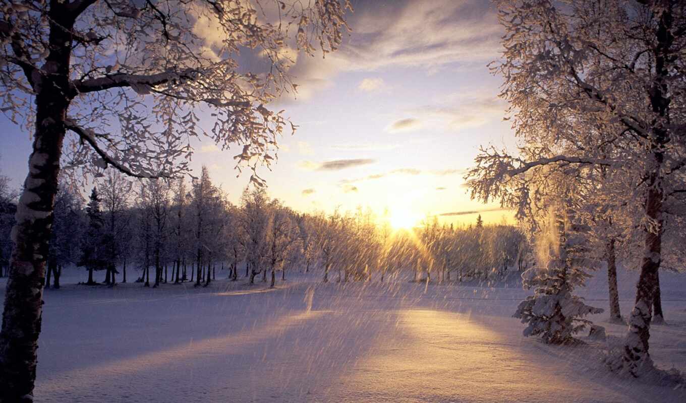 природа, пейзажи -, красивых, красивые, зимние