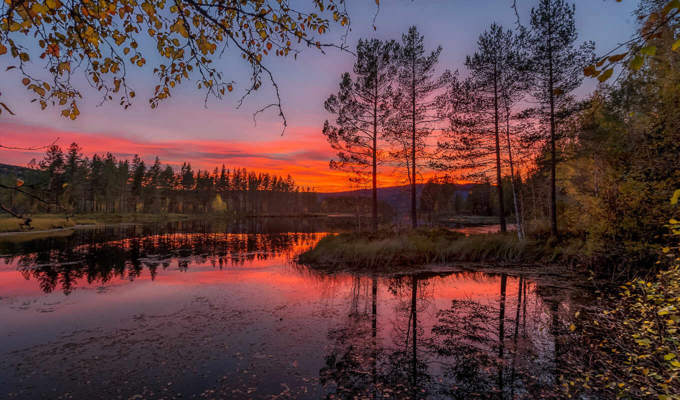 природа, подборка, картинок, осень, интересных, norwegian, прикольных, осінь, jorn