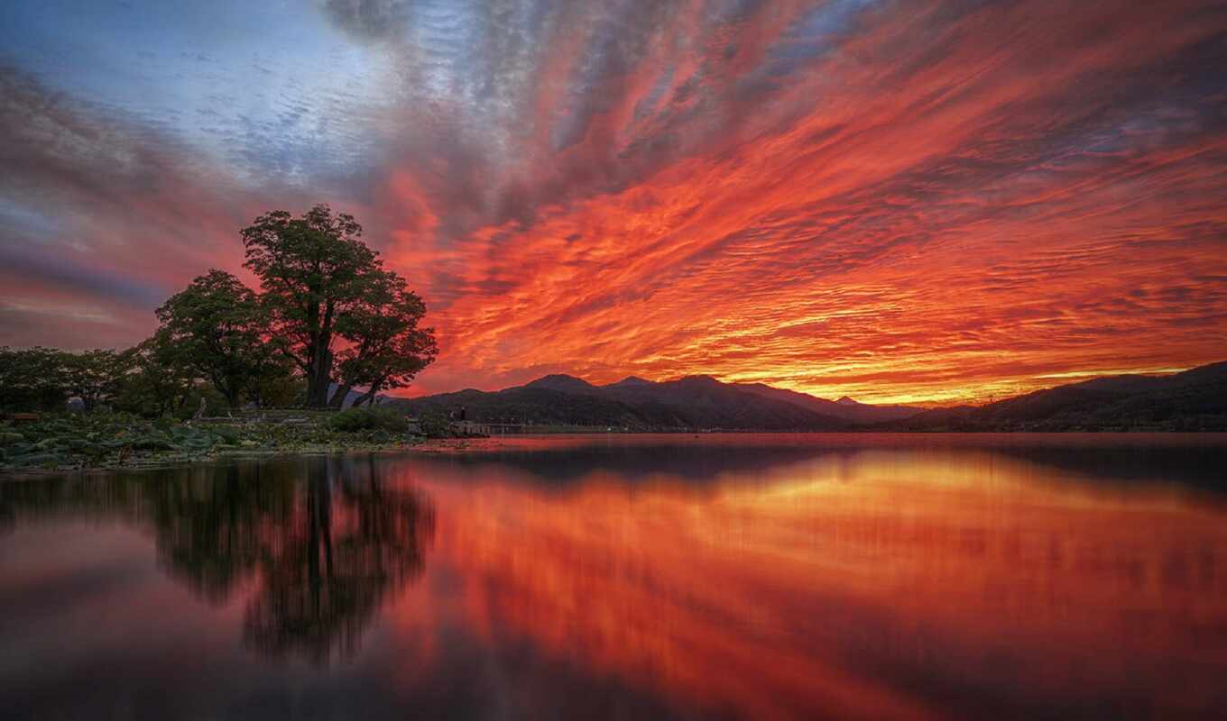 озеро, небо, red, дерево, рассвет, landscape, утро, ан, бультерьер, сеунгхон