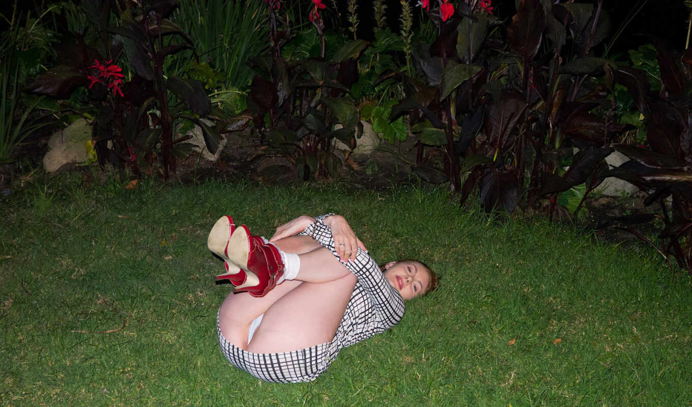 man, grass, there, bear, teddy, laying