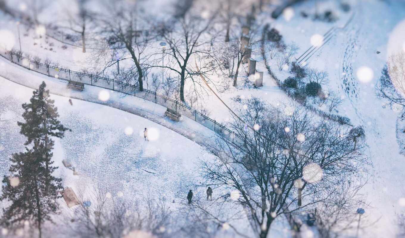 day, snowy, Toronto
