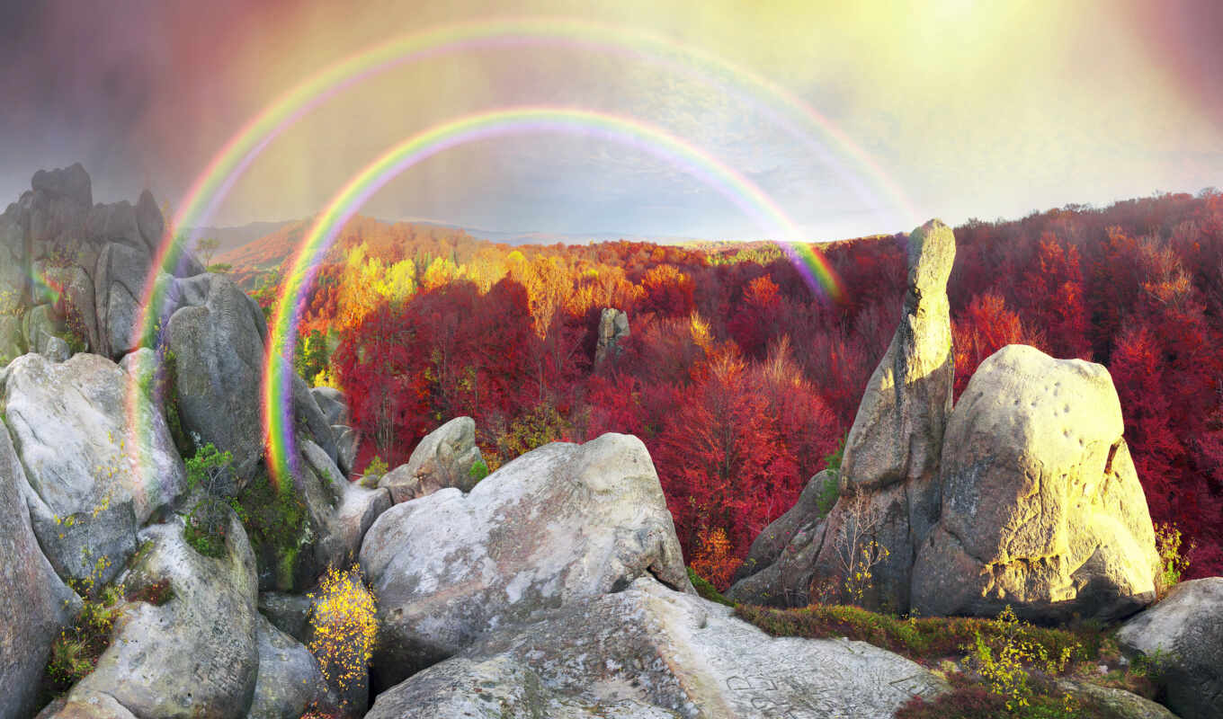 nature, rainbow, forest, ukraine, autumn, transcarpathia