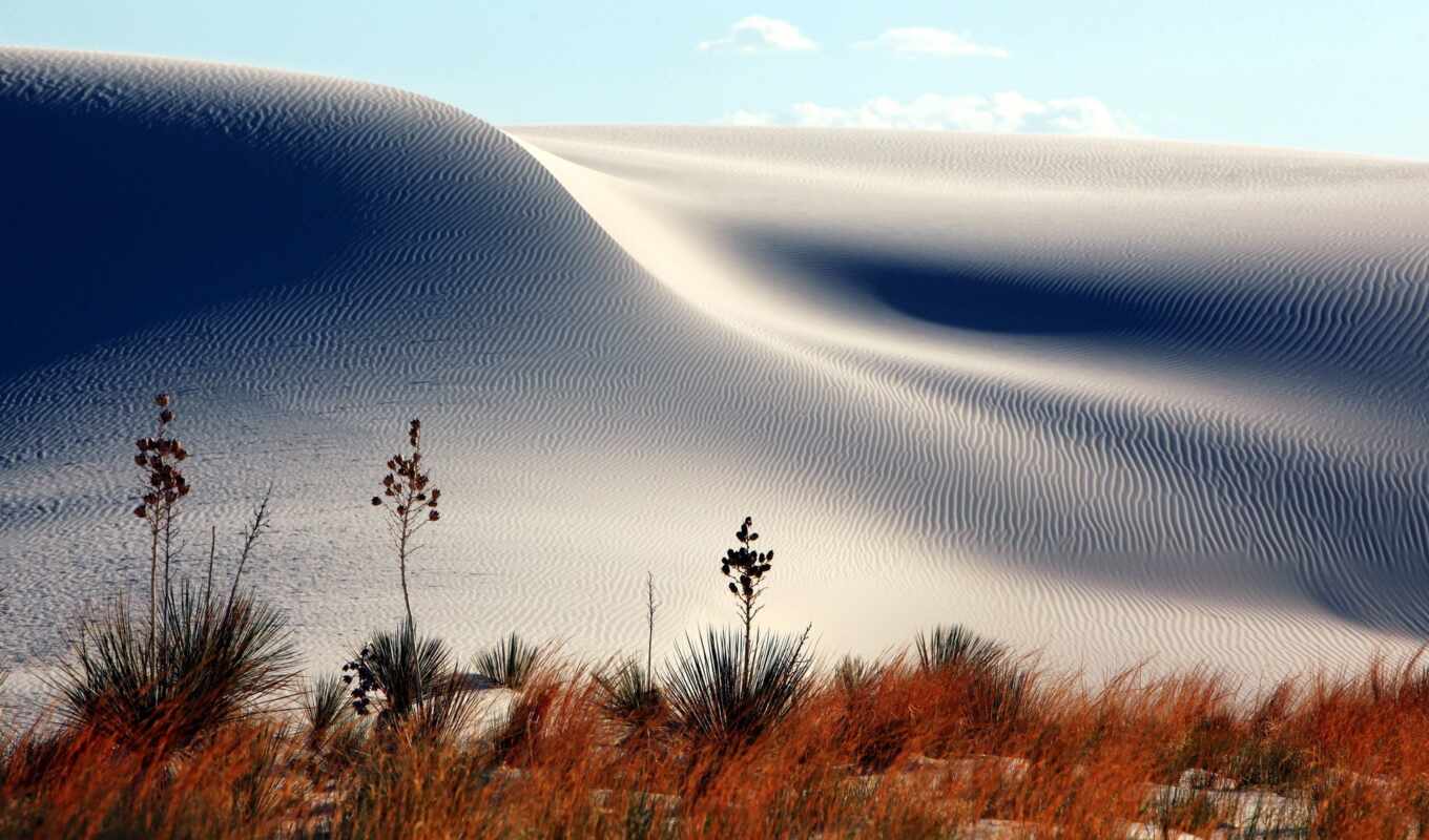 природа, landscape, песок, links, пустыня, dunes, dune