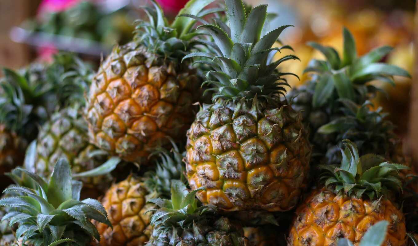june, плод, news, una, праздник, спелый, today, pineapple, madura