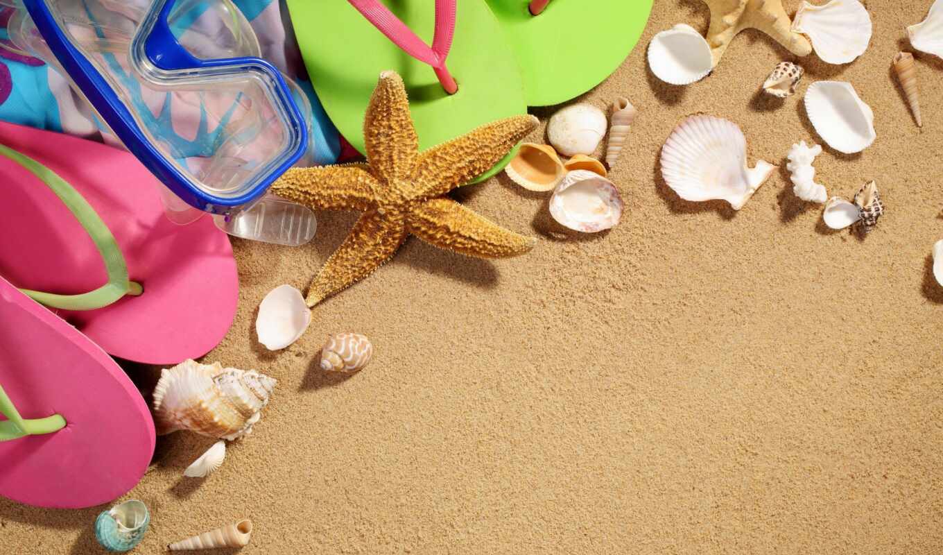 природа, summer, песок, seashell