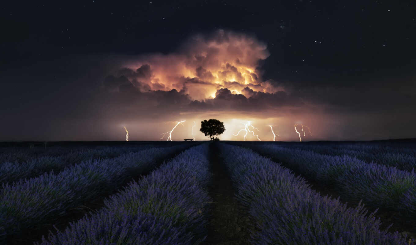 the storm, fine, star, lightning, smell, art, lavender