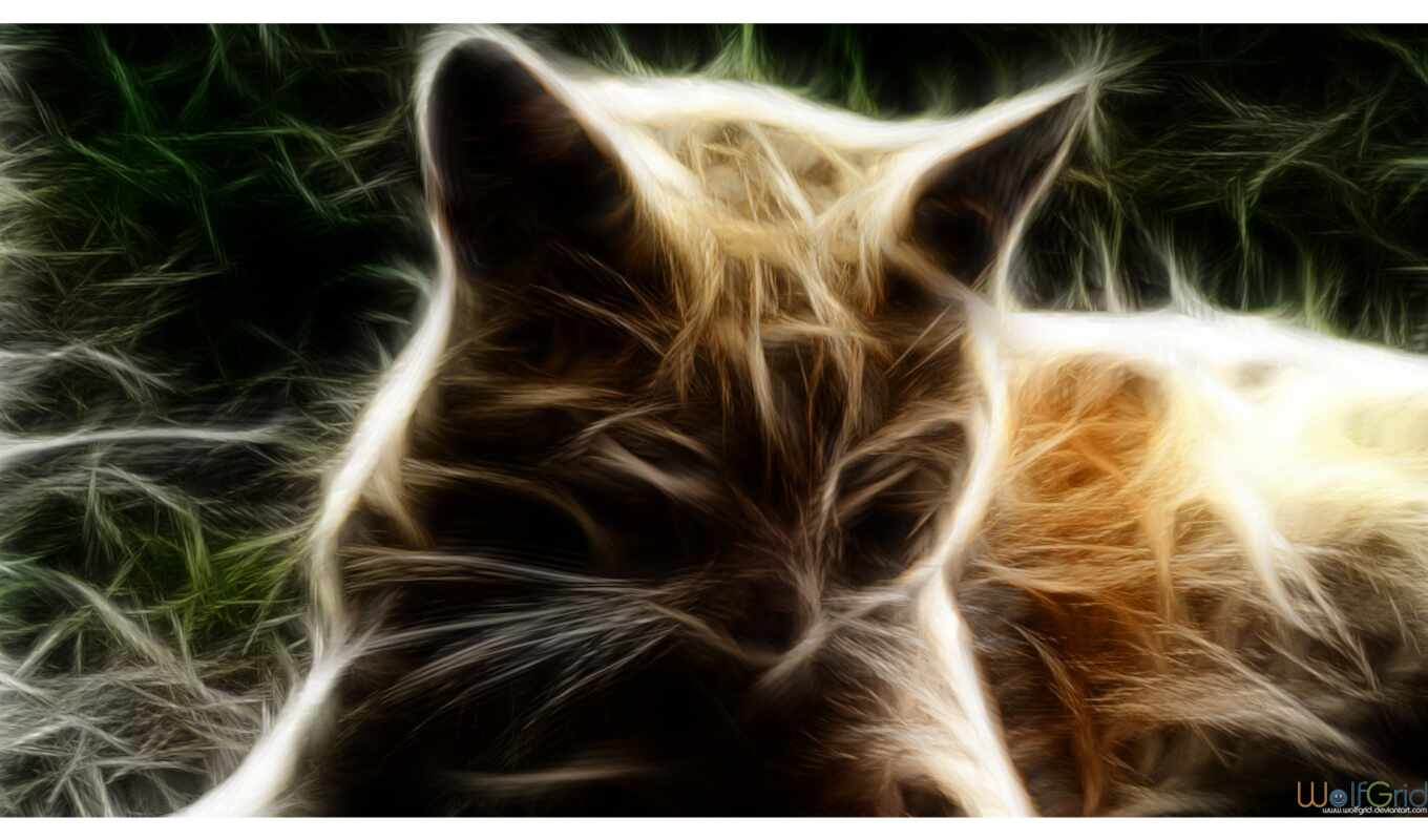 art, digital, кот, rare, фракталий