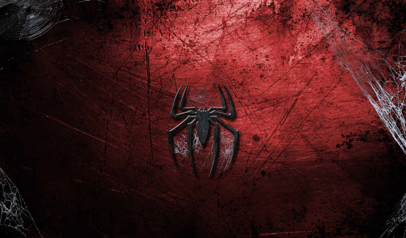 logo, spider, human