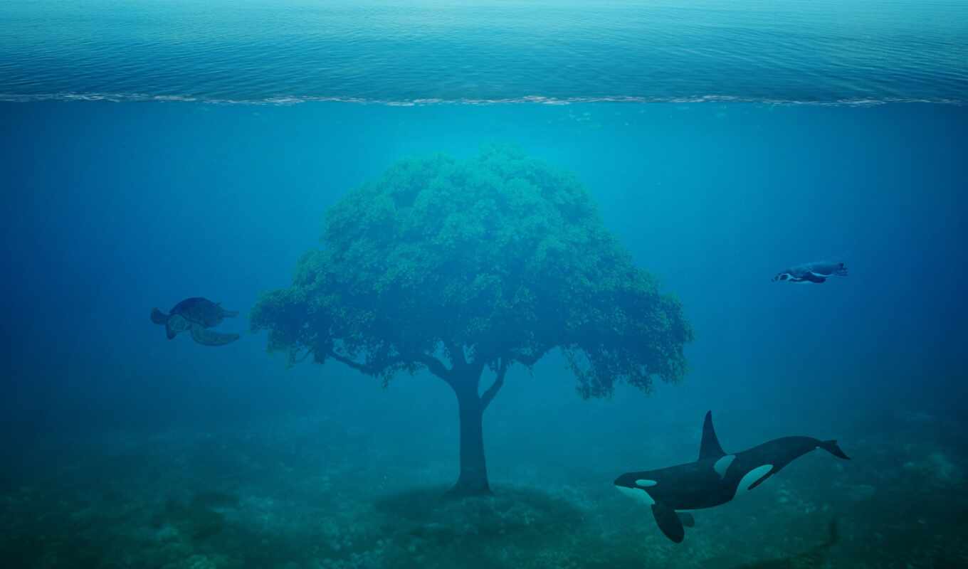 дерево, water, под, море, ocean, черепаха, fantasy, кит, два, orca, убийца