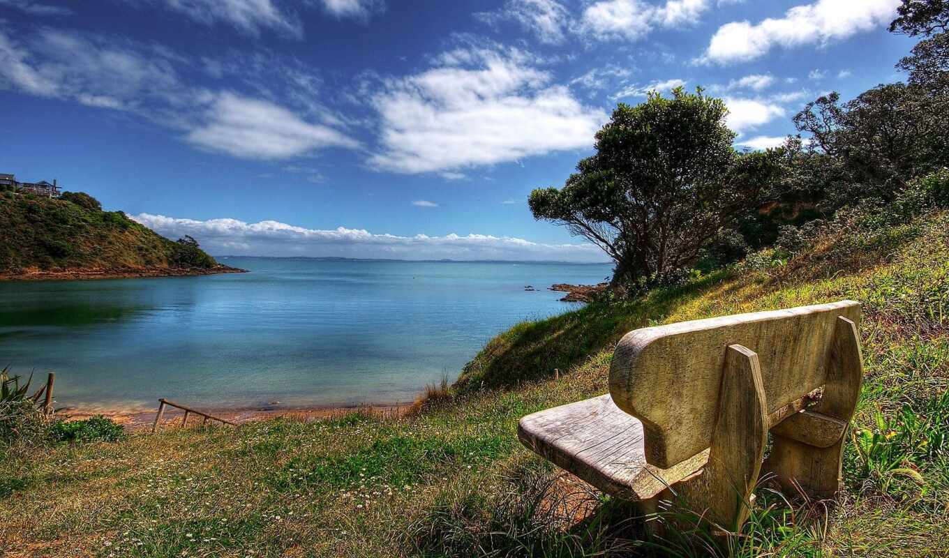 nature, beach, bench