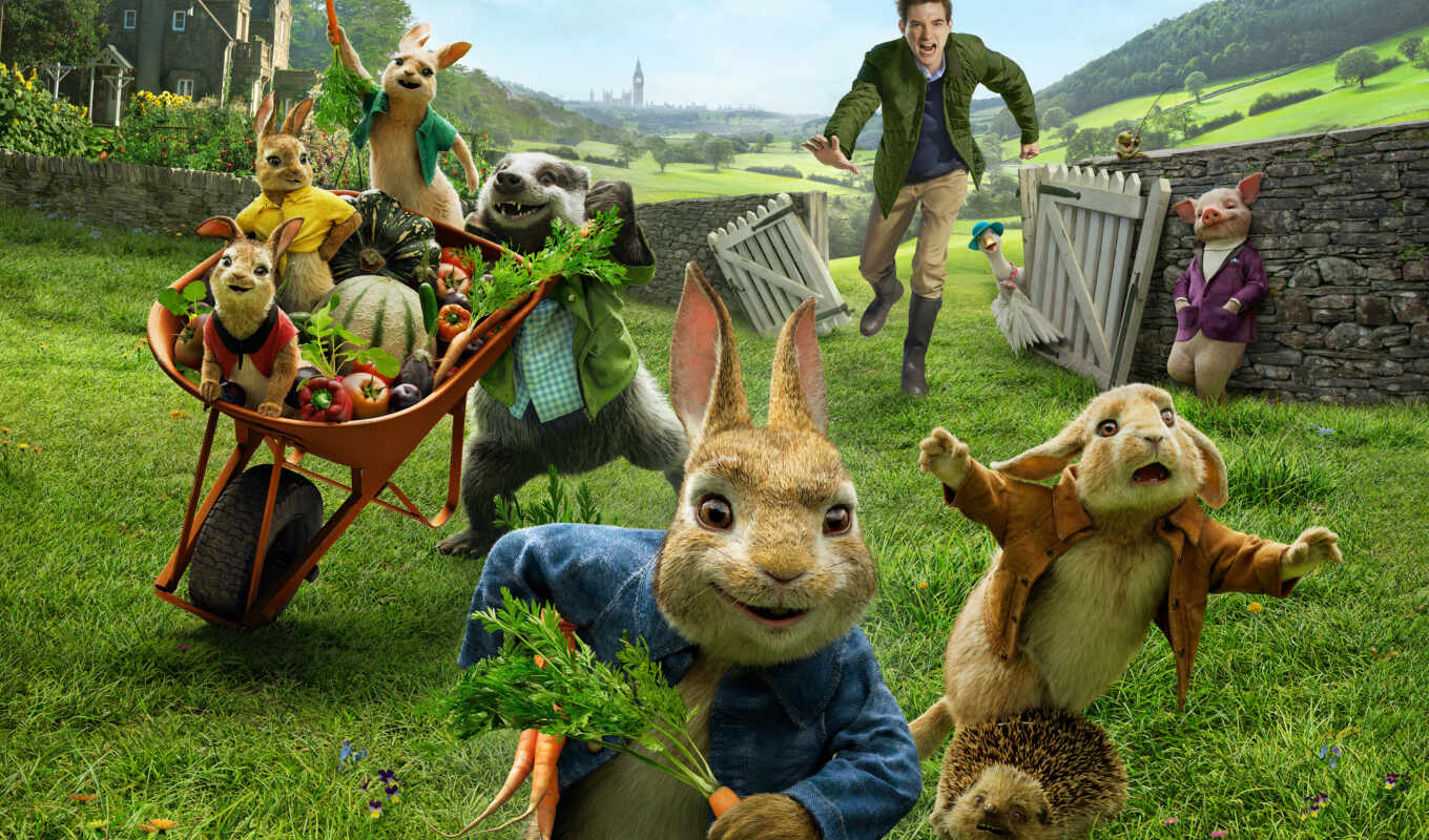 rabbit, peter, to be removed, enough, moniker, small, farmer, adventures, non-pecuniary, rabbit, corden