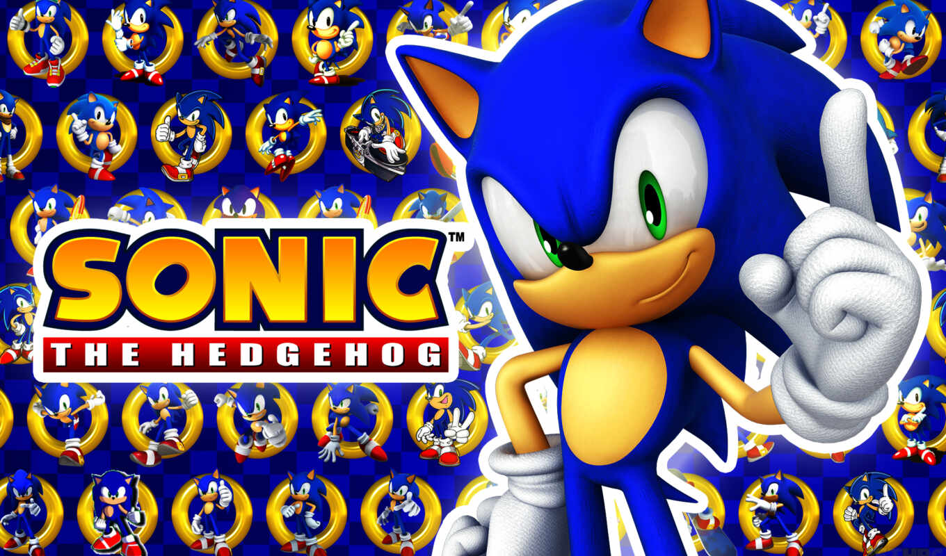to be removed, hedgehog, sonic, towel