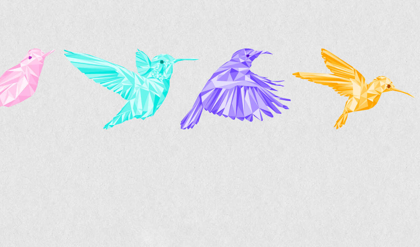 graphics, flight, May, frame, bird, minimalism, color, original, hummingbirds