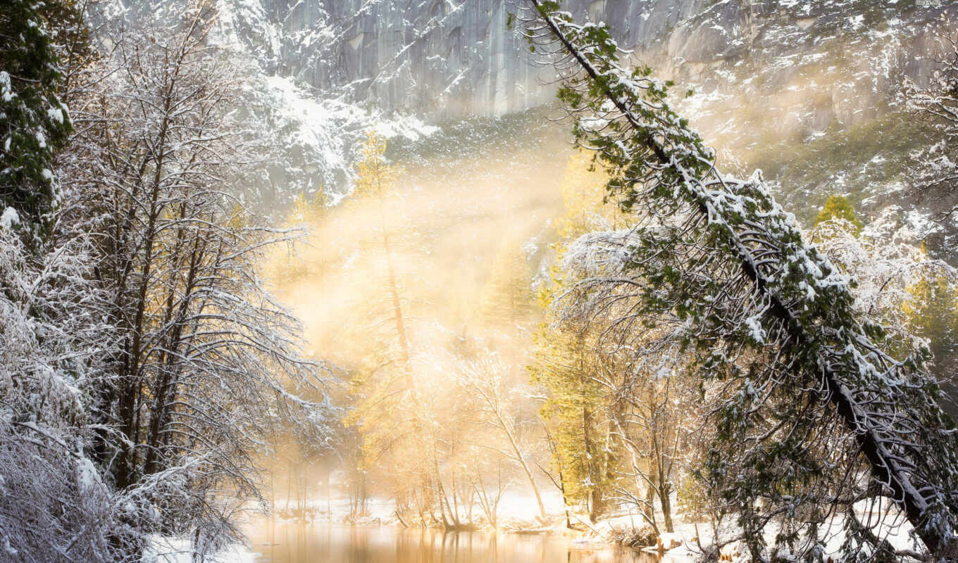 nature, graphics, picture, at home, snow, winter, years, time, foliage, river, trees