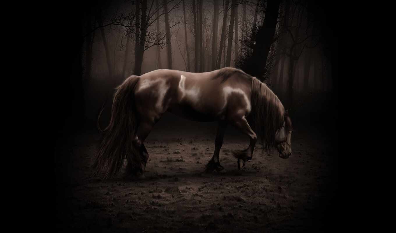 лошадь, прогулка, mustang, грива, pantalla, красивый, stallion, caballo, noire, spotted