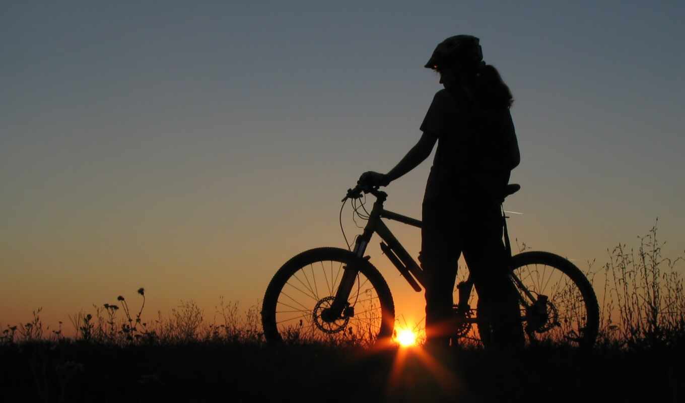 nature, photo, bike, bicycle, coop