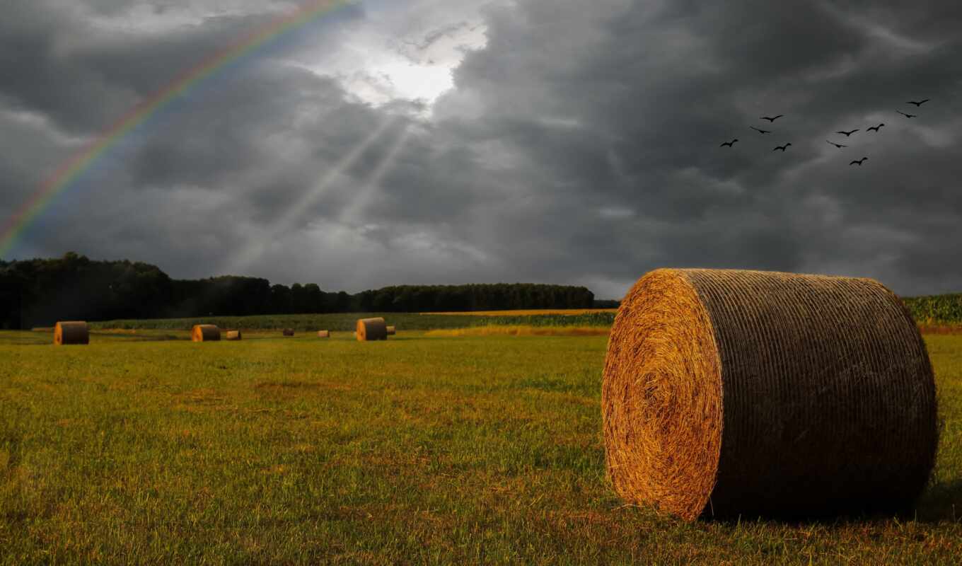 photo, gallery, field, cloud, hay, free, rare, royalty, thundercloud, straw, bale