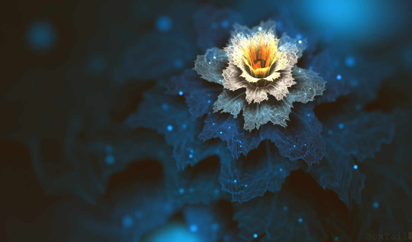 art, flowers, blue, digital, dark, artwork, petal, plant, fractal, cgi