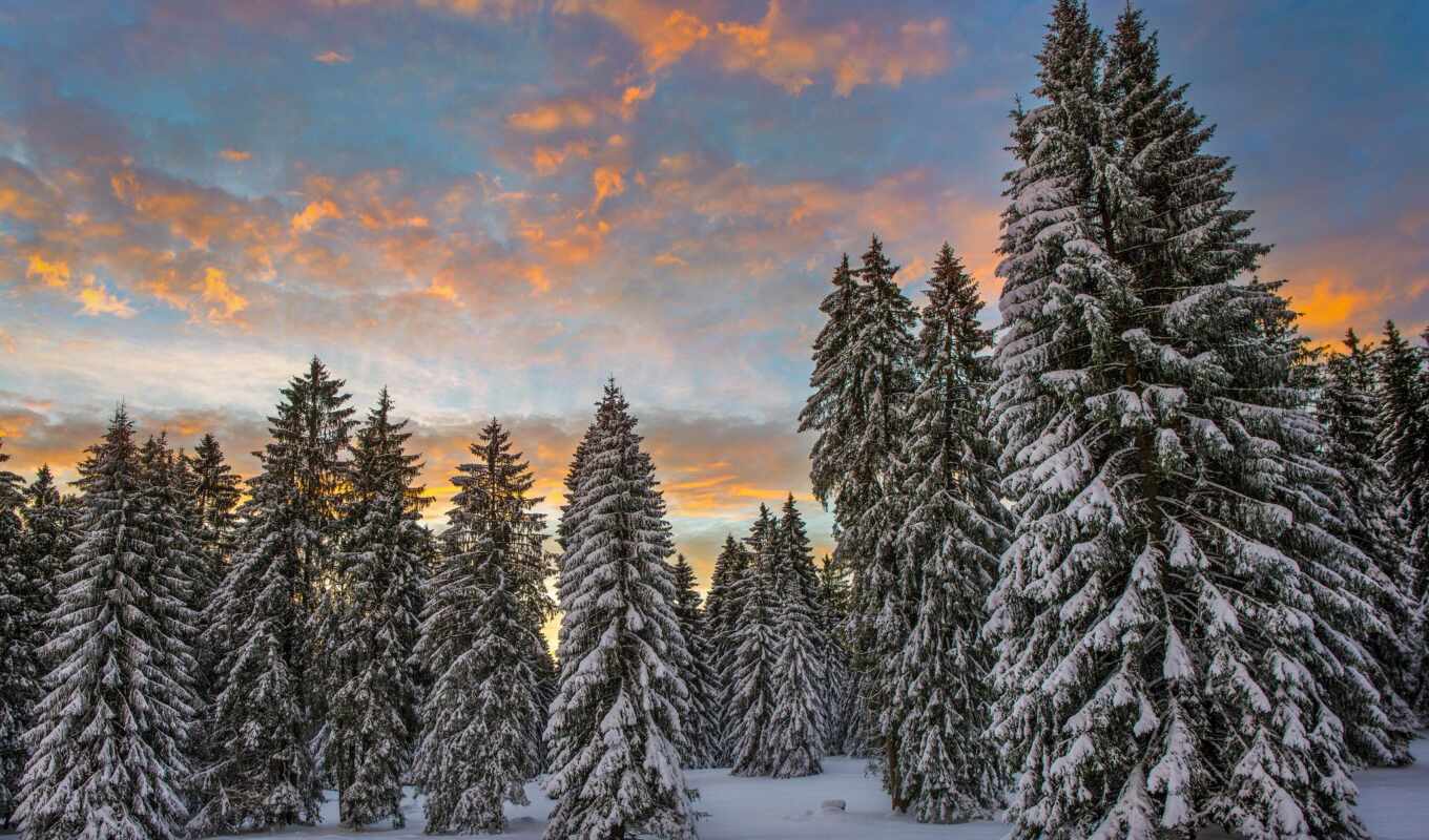 снег, winter, лес, утро, swiss, природой, швейцария, места, clouds, imgator