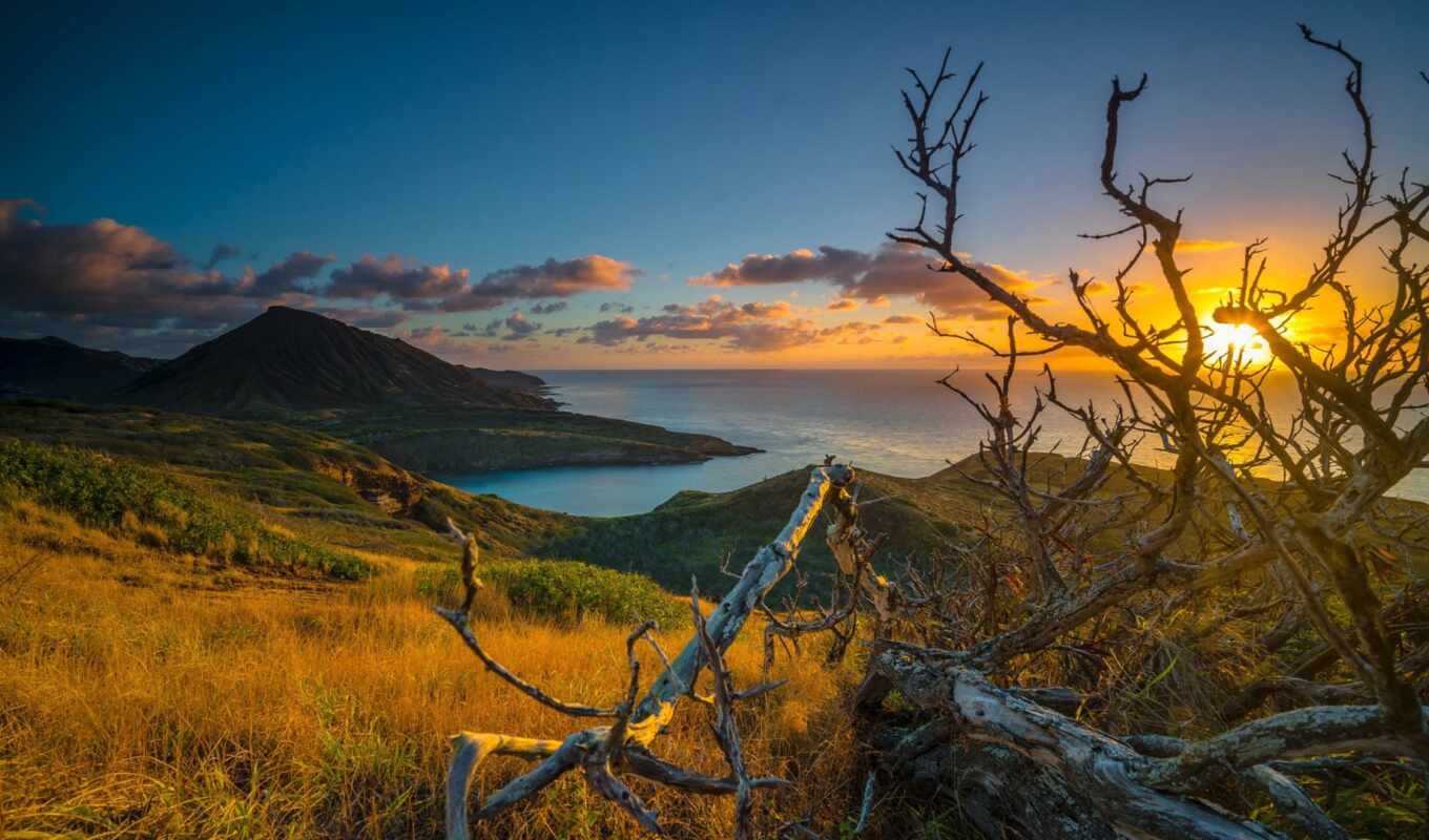 природа, закат, рассвет, landscape, облако, branch, восход, hill, hawaii