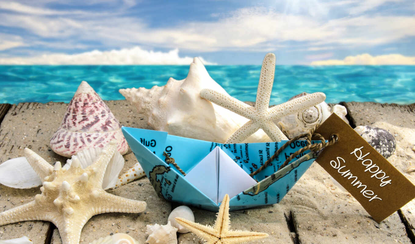 sun, пляж, море, star, starfish, seashell