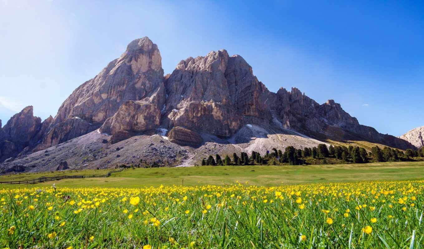 цветы, summer, гора, landscape, italian, yellow, south, italy, tyrol