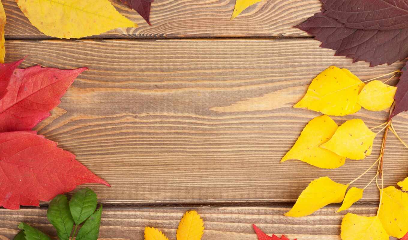 texture, leaves, free, autumn, foliage, tapety, autumn, pulpit, wood, deski