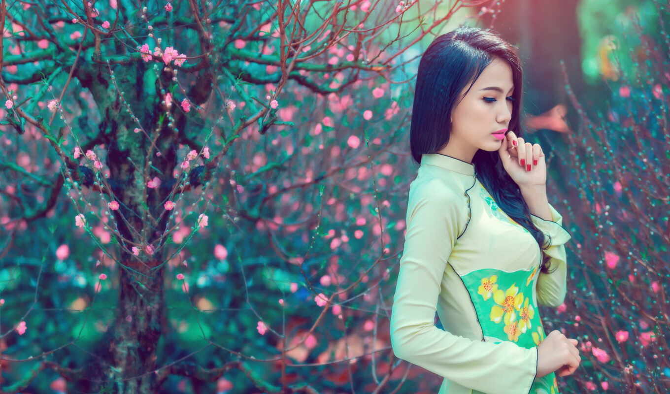 девушка, ткани, модель, flowers, традиционный, vietnamese