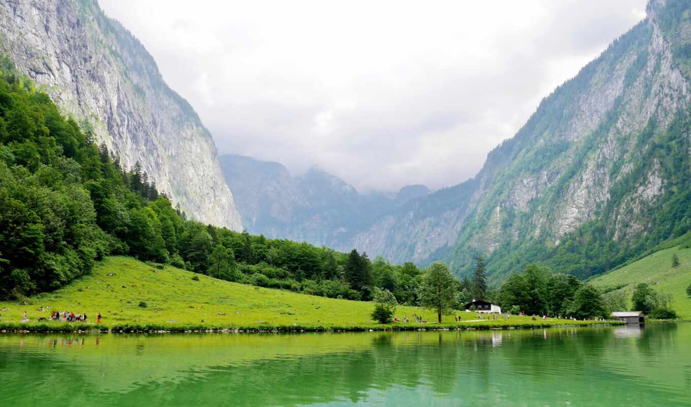 озеро, природа, jungle, зелёный, альпы, долина