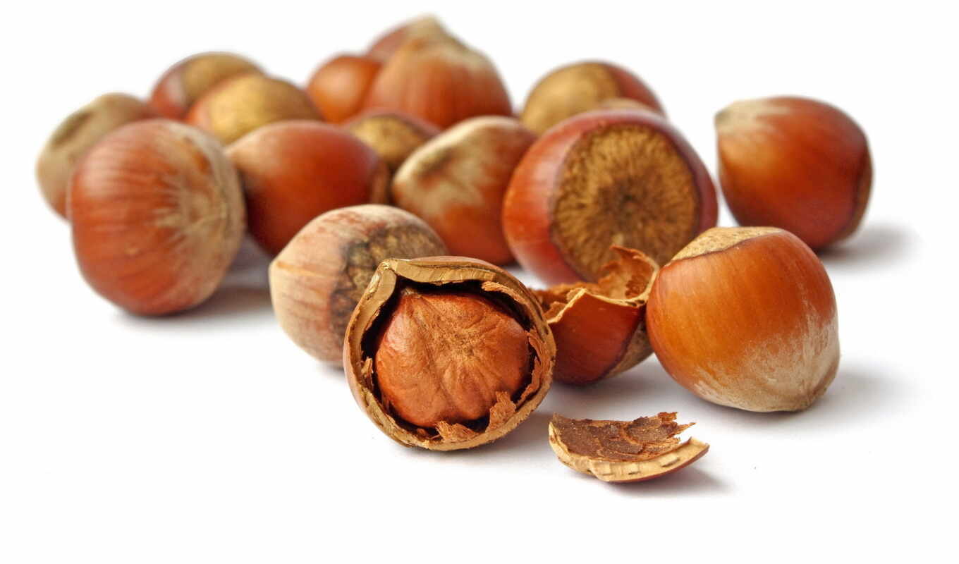 meal, structure, useful, hazelnuts, nut, calority