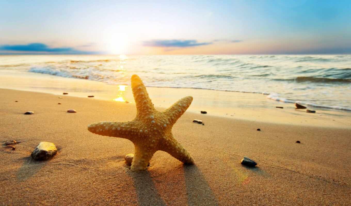 window, sunrise, beach, sea, sand, marine, star, decoration, winallo