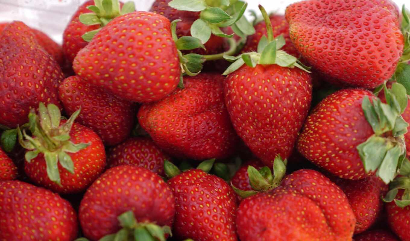 fresh, strawberry, farm, harvest, produce, pixabay