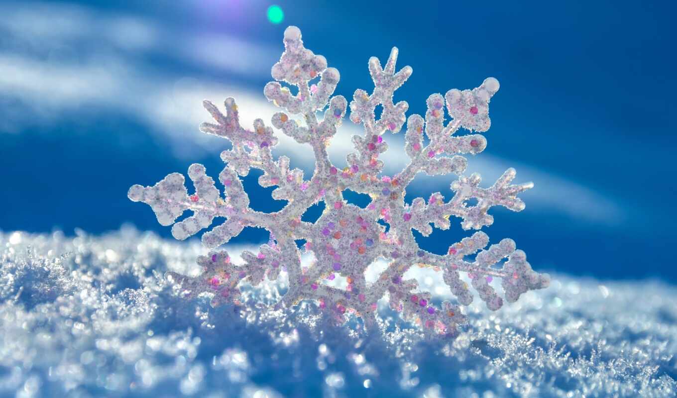 snowflake, blizzard, degrees